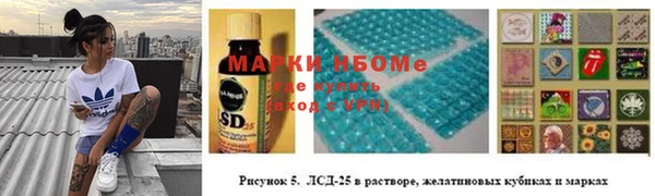шишки Елабуга