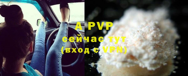 шишки Елабуга