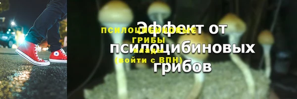 а пвп мука Ельня