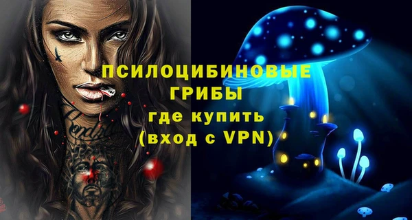 шишки Елабуга
