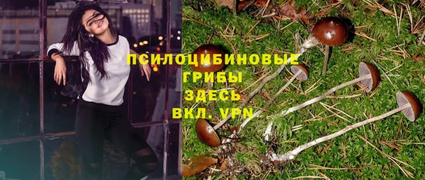 шишки Елабуга