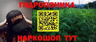 трава Кунгур