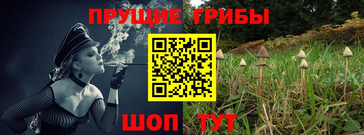 Галлюциногенные грибы Magic Shrooms Урай