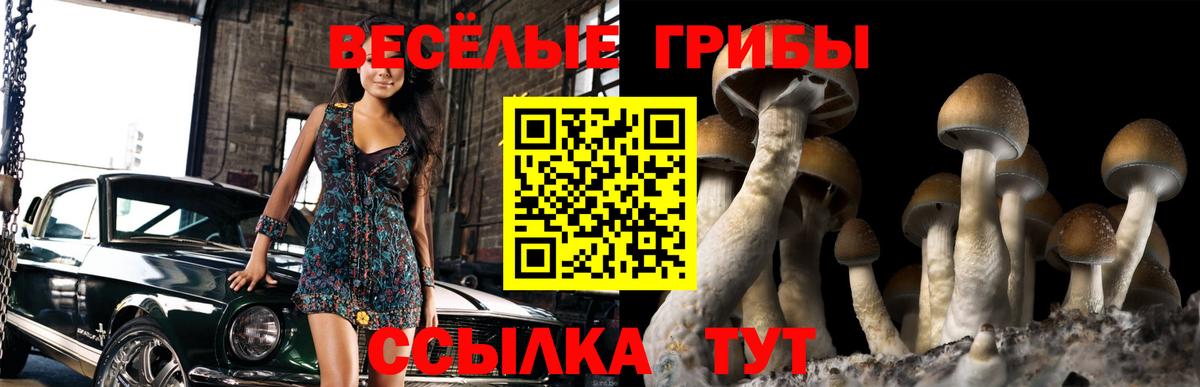 Псилоцибиновые грибы мухоморы  Галлюциногенные грибы Psilocybine cubensis  где купить   Урай  Вход с VPN 